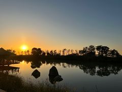 -苏州湾·王焰温泉