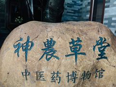 -广州神农草堂中医药博物馆