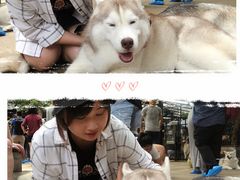 -TrueLove @ Neverland (Husky Cafe)