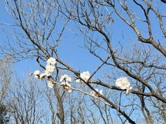 -长辛店二七公园