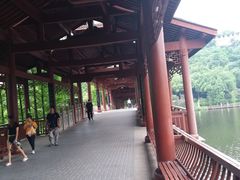 -重庆彩云湖湿地公园