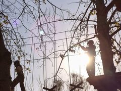 -朝阳公园游乐园