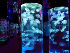 -成都浩海立方海洋公园