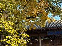 -承德避暑山庄景区