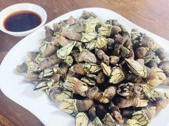 鸡爪螺（佛爪螺）-四季美蚝皇