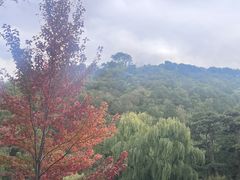 -香山公园