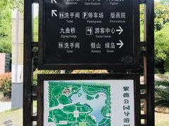 -紫薇公园