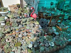 -杨厝六十六农庄农舍(杨厝路店)