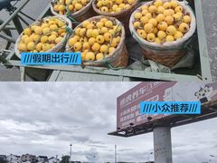 -东山风景区(洞庭东山)