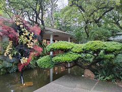 -广州兰圃