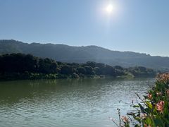 -风云岭森林公园