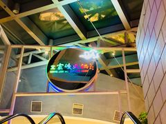 -王家渡火锅店(棕榈泉店)