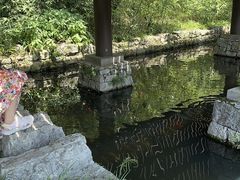 -大唐贡茶院