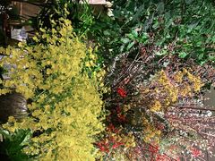 -春暖花开(西溪店)