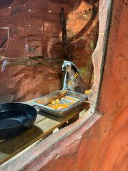 点击看大图 -Zoolung Zoolung动物主题公园(海信广场店)