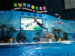 -泉城欧乐堡海洋极地世界