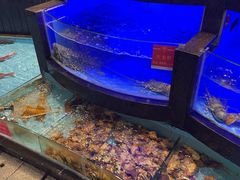 -御同亨酒楼·喜宴