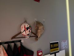 -Xcape异时刻密室逃脱魔法互动(瑞虹天地太阳宫店)