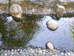 -全国人大会议中心