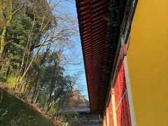 -九华山风景区