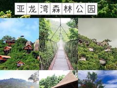 -亚龙湾热带天堂森林公园