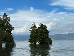 -大理洱海