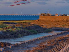 -南汇嘴观海公园