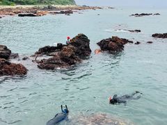 -西涌国际滨海旅游区