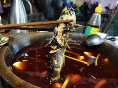 -谭记石锅鱼府(三道堰店)