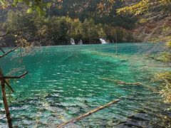 -九寨沟-树正沟