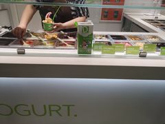 -Salud撒露欧洲冻酸奶(北苑上品店)