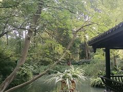 -王家渡火锅(三苏祠店)