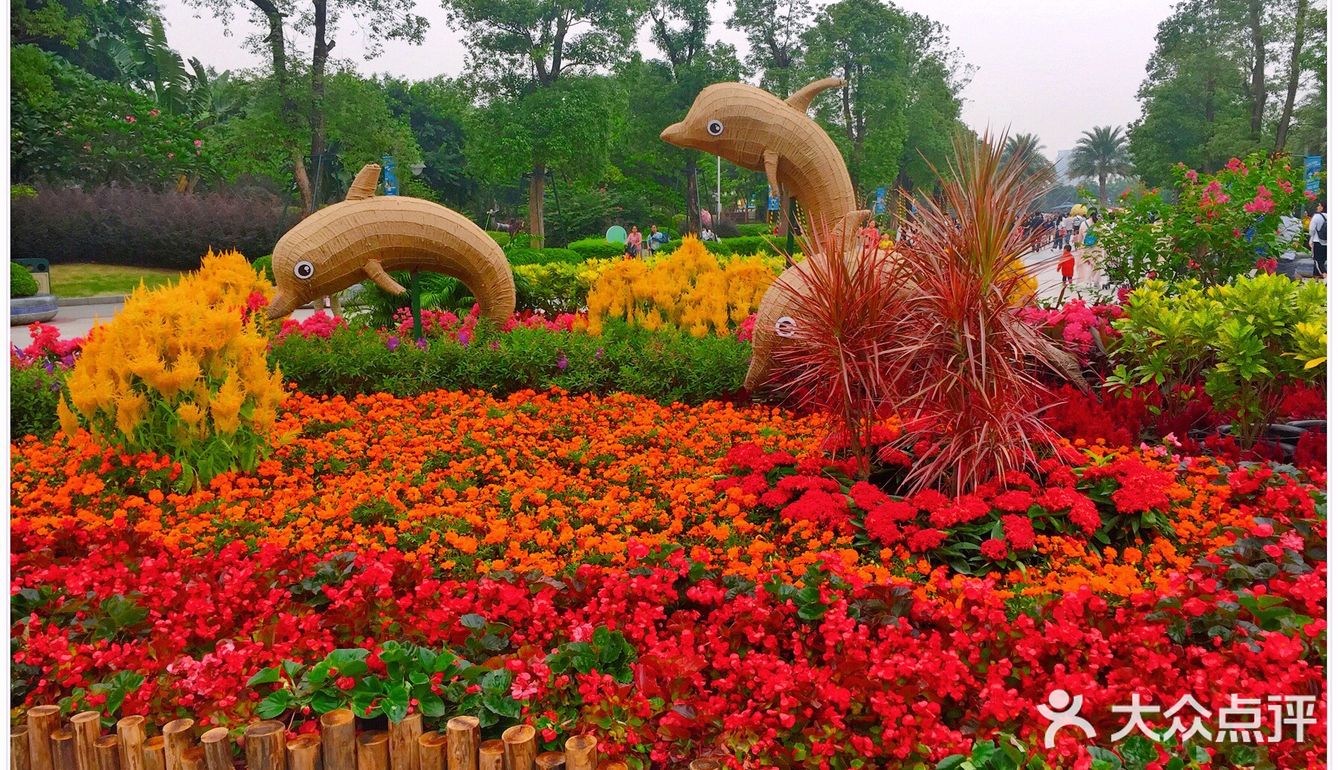 广州市儿童公园游玩攻略