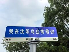 -沈阳鸟岛