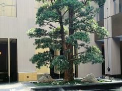 -外滩·云南人家(昆明旗舰店)