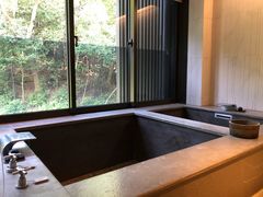 -台北北投丽禧温泉酒店