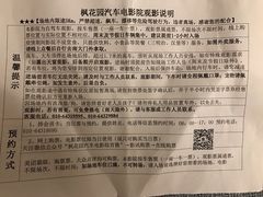 -枫花园汽车电影院(朝阳公园店)