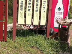 -木兰云雾山