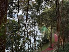-广州市流溪河国家森林公园