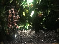 -BODHI SOCIETY足疗(燕郊国道店)