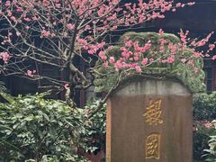 -峨眉山报国寺