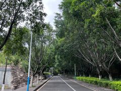 -攀枝花公园