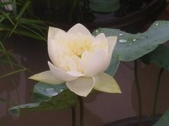 -龙环葡韵住宅式博物馆