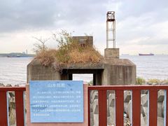 -上海滨江森林公园