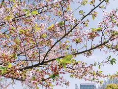 -复旦大学光华楼