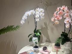 -花神·轻食简餐·咖啡馆·花卉绿植(荷兰花卉小镇店)