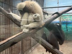 -昆明动物园