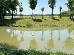 -嘉北郊野公园