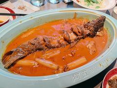-阿五黄河大鲤鱼(建业路店)