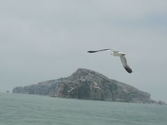 -海驴岛(荣成市)